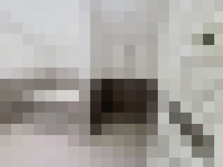  / #8