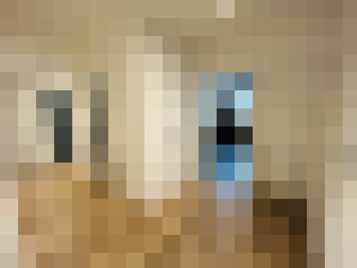  / #12