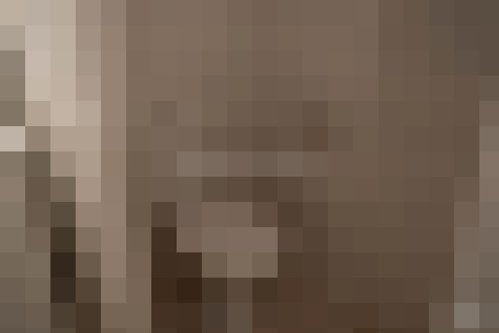  / #19