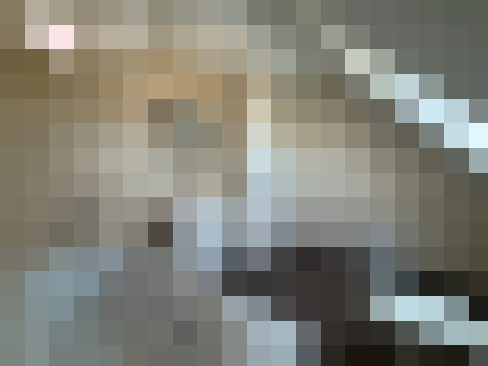  / #13