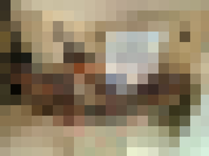  / #19