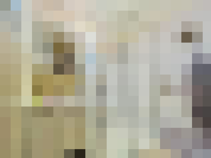  / #14