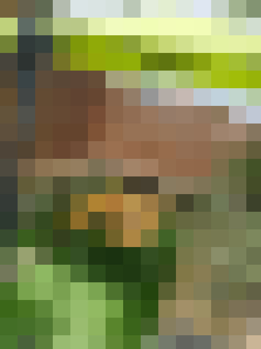 / #24