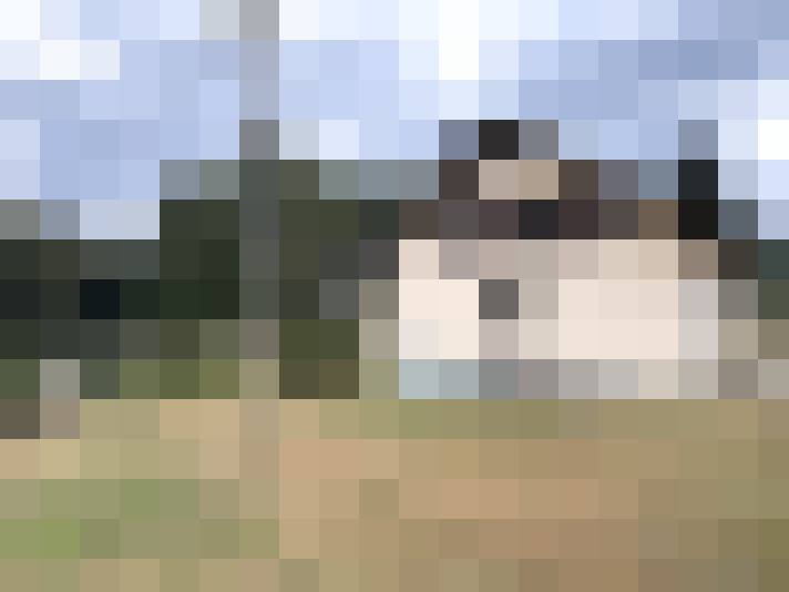  / #17