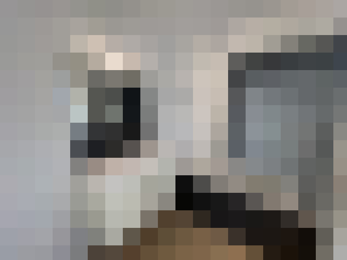  / #14