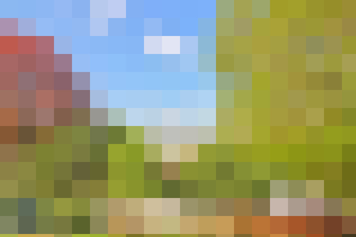  / #8