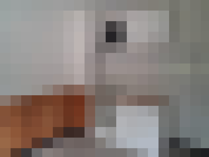  / #6