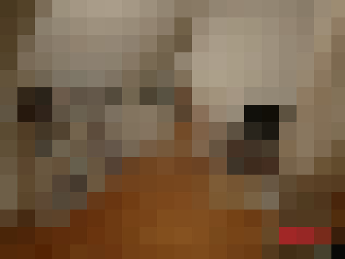  / #8