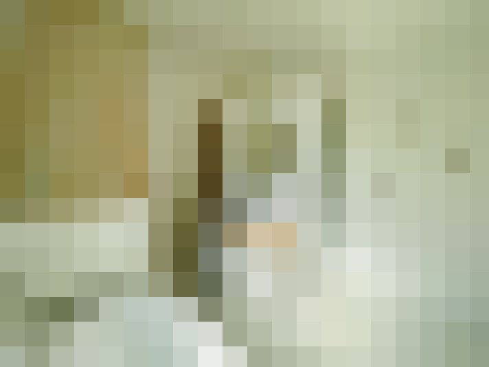  / #13