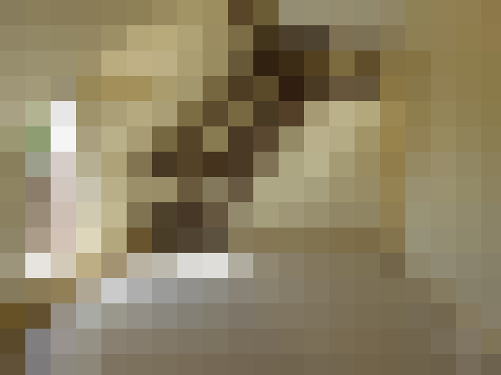  / #15