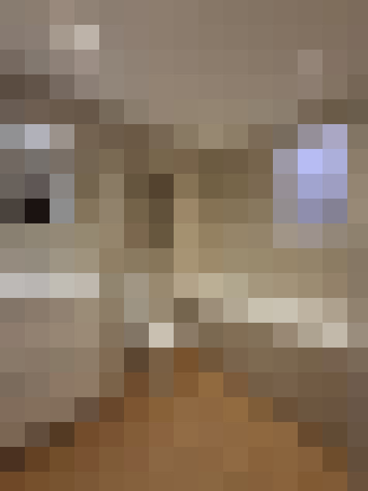  / #6