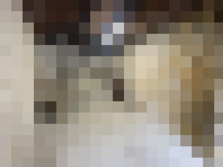  / #14