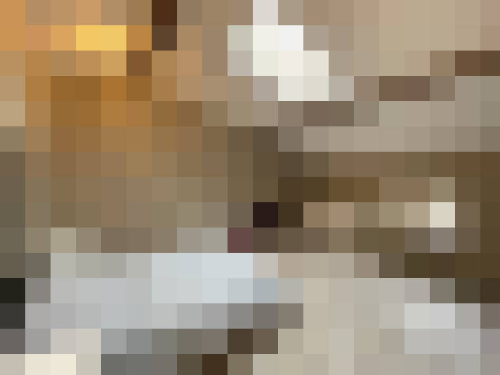  / #13