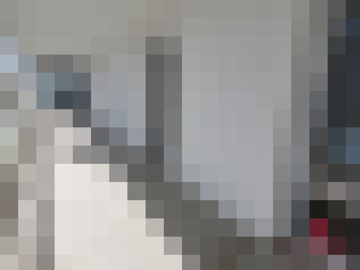  / #12