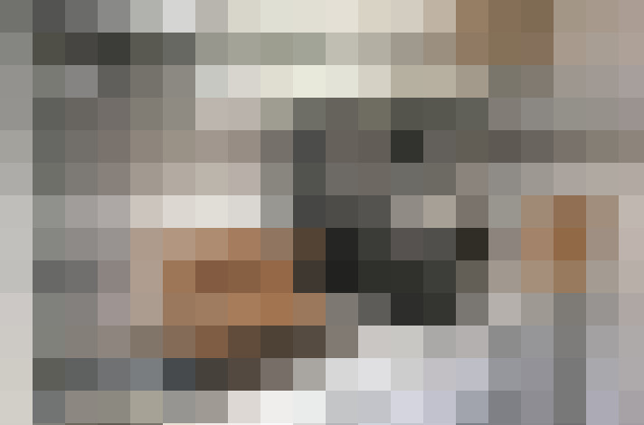  / #16