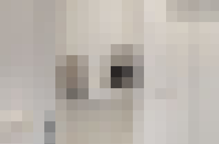  / #11