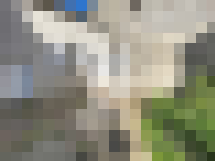  / #19