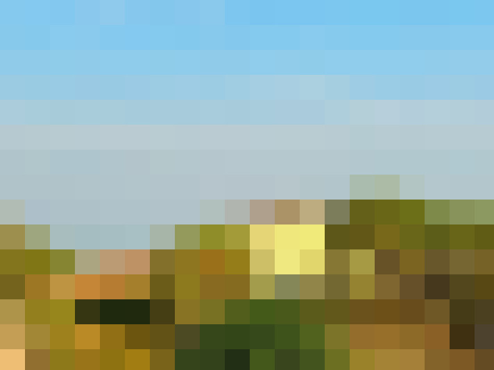  / #10
