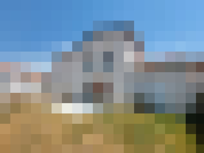  / #10