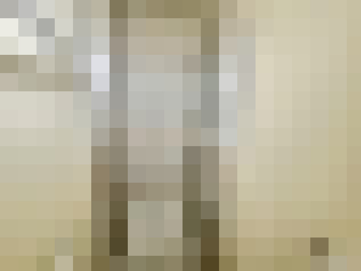  / #24