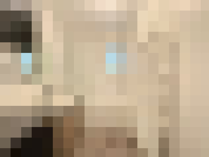  / #9