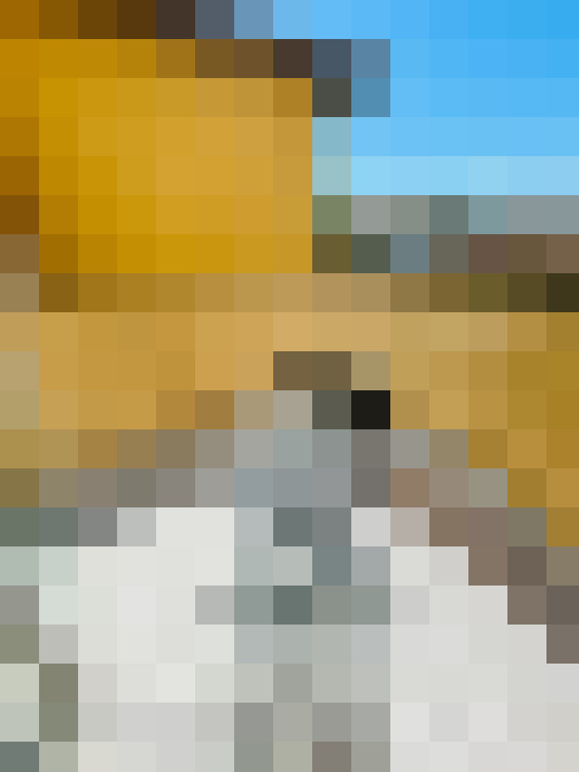  / #14