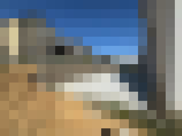  / #16