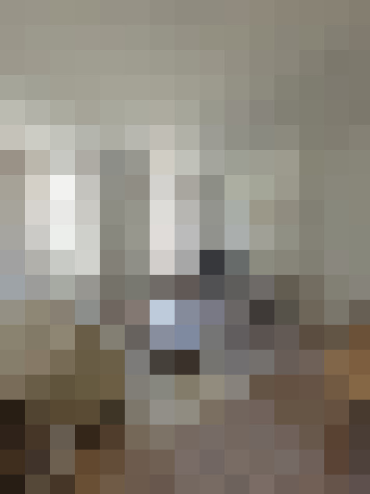  / #13