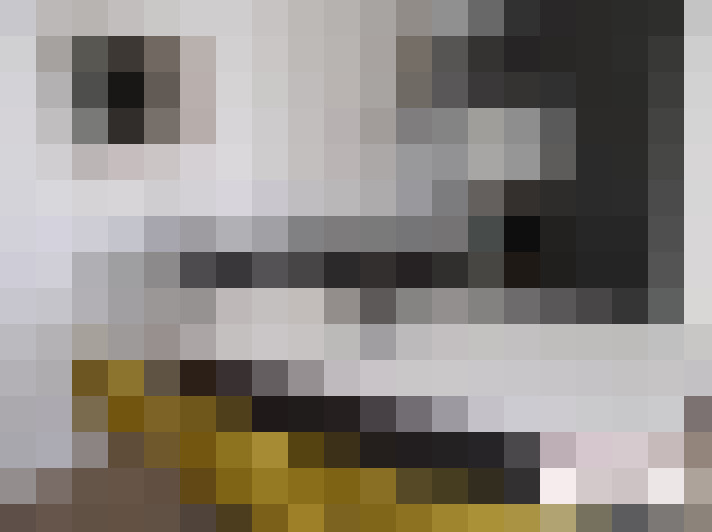  / #12