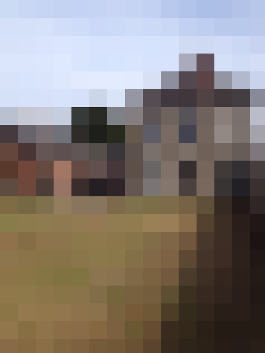  / #15