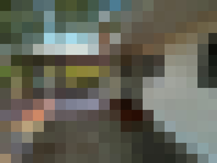  / #14