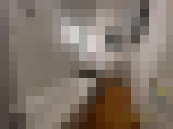  / #11