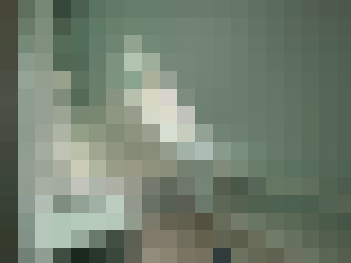 / #7