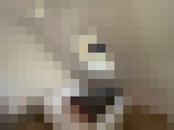  / #12