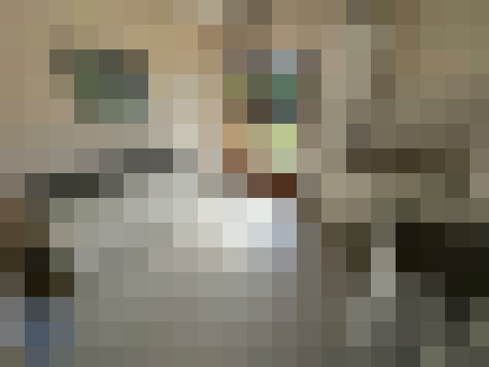  / #23