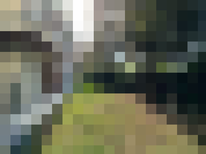  / #19