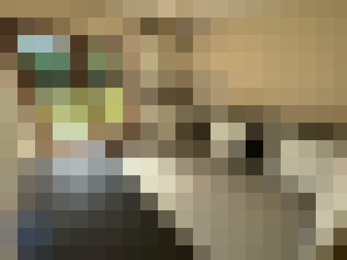  / #22