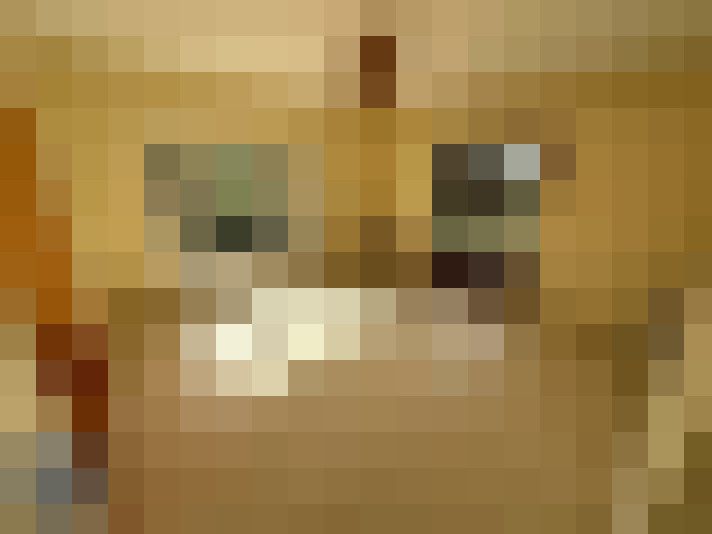  / #11