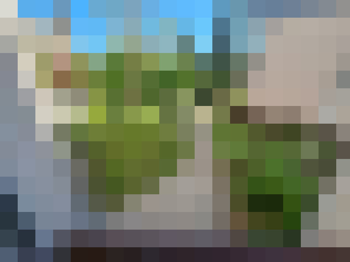  / #16