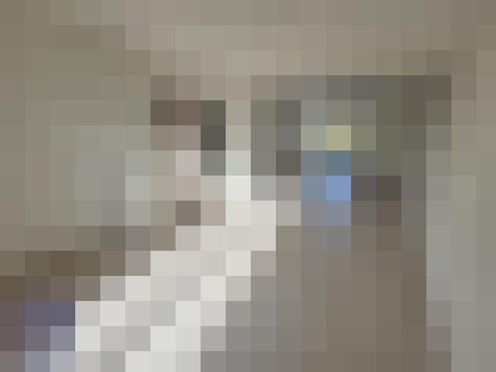  / #13