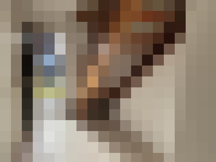  / #16
