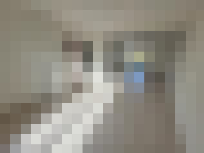  / #14