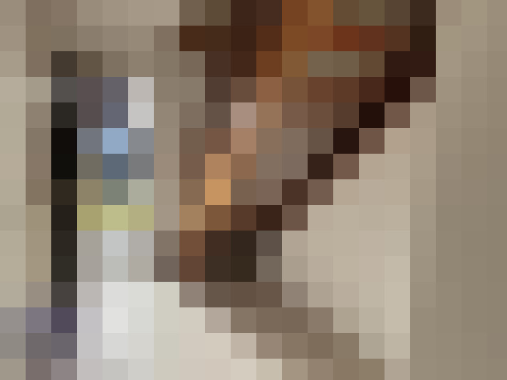  / #15