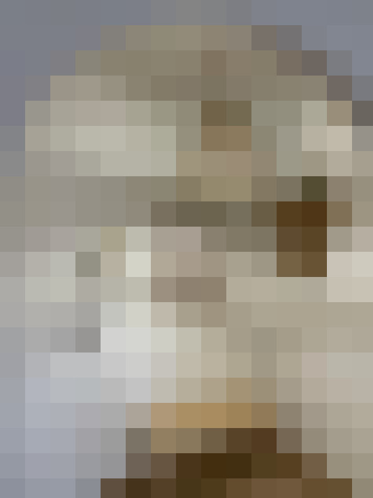  / #17