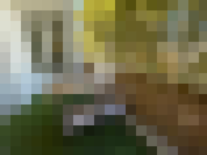  / #13