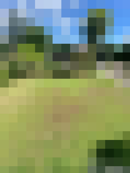  / #18