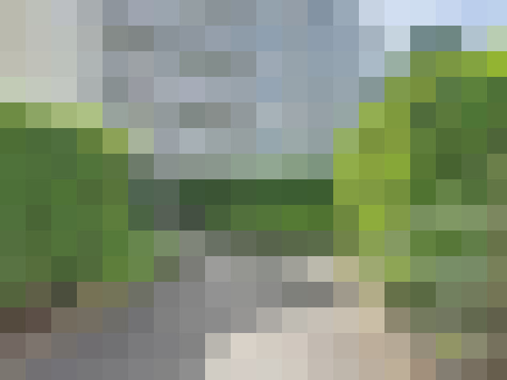  / #16