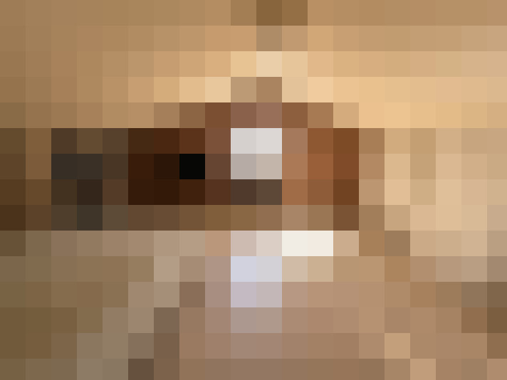  / #6