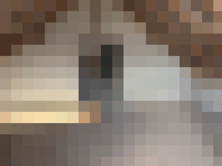  / #11