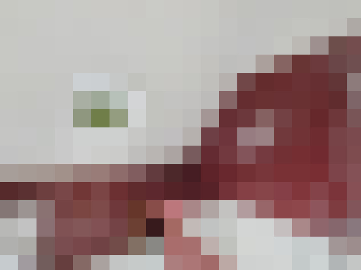  / #13